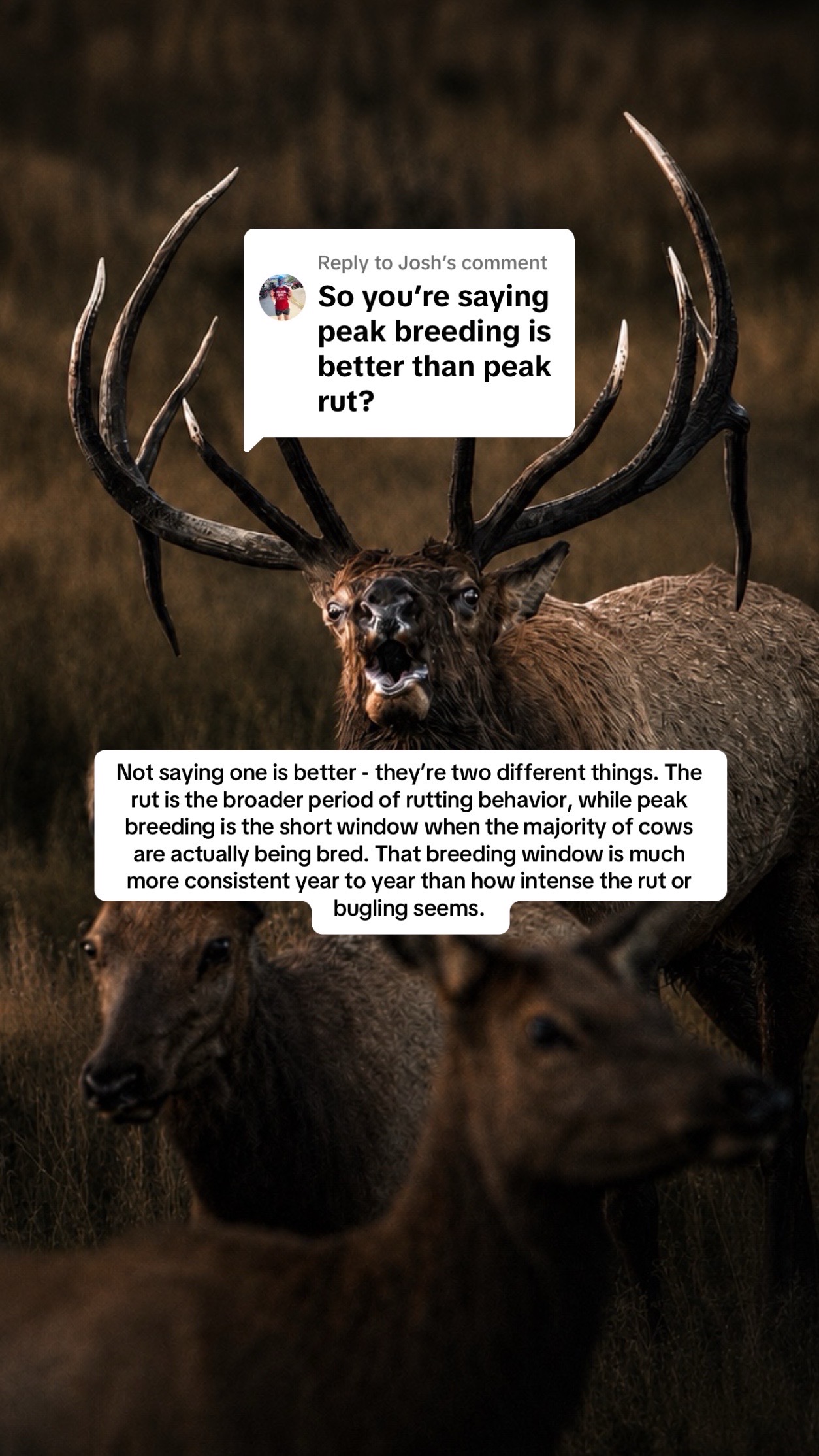 @Wild Born Outdoors - Saxton
