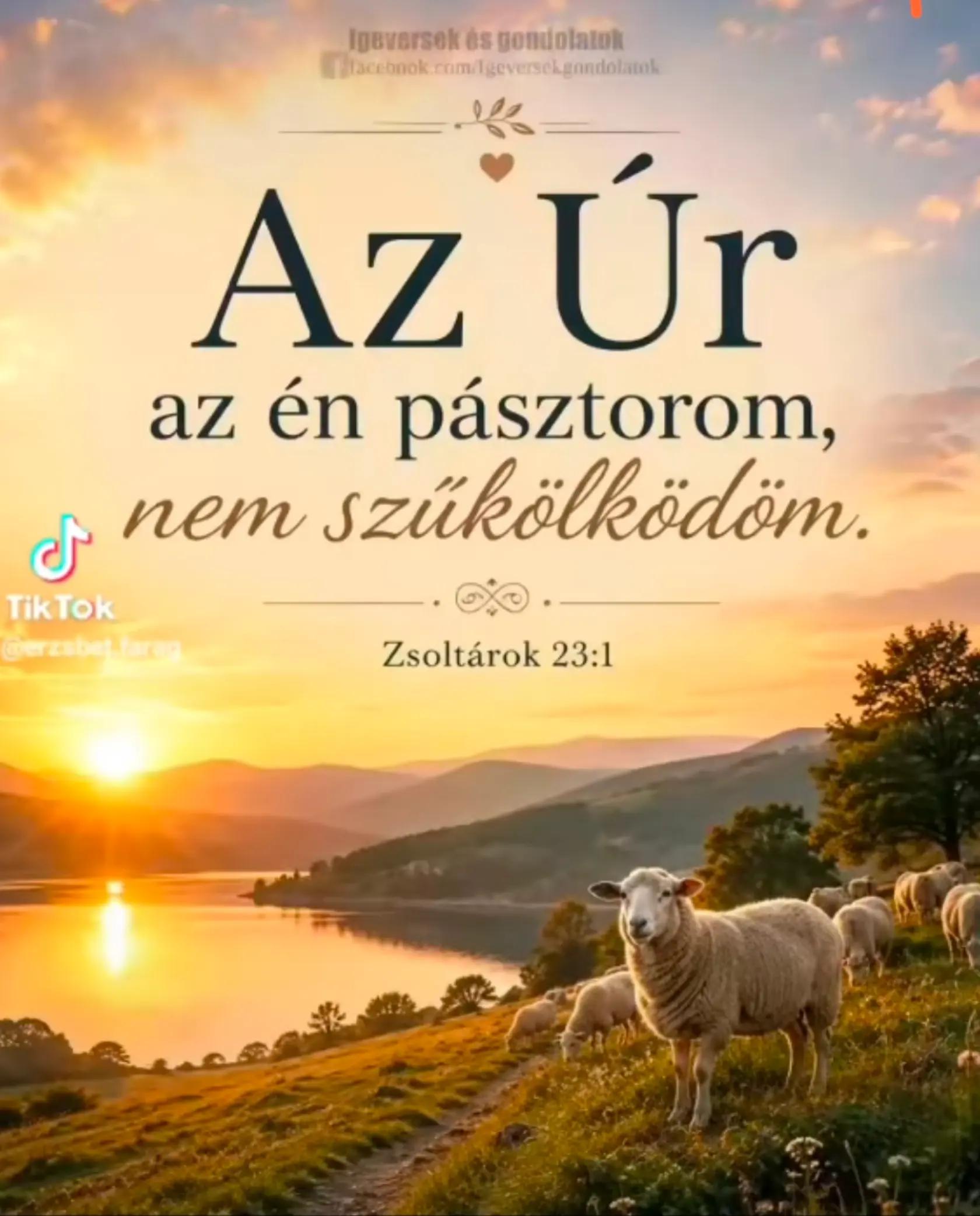 @Emilia Pilarová ❤🕊🙏🌹