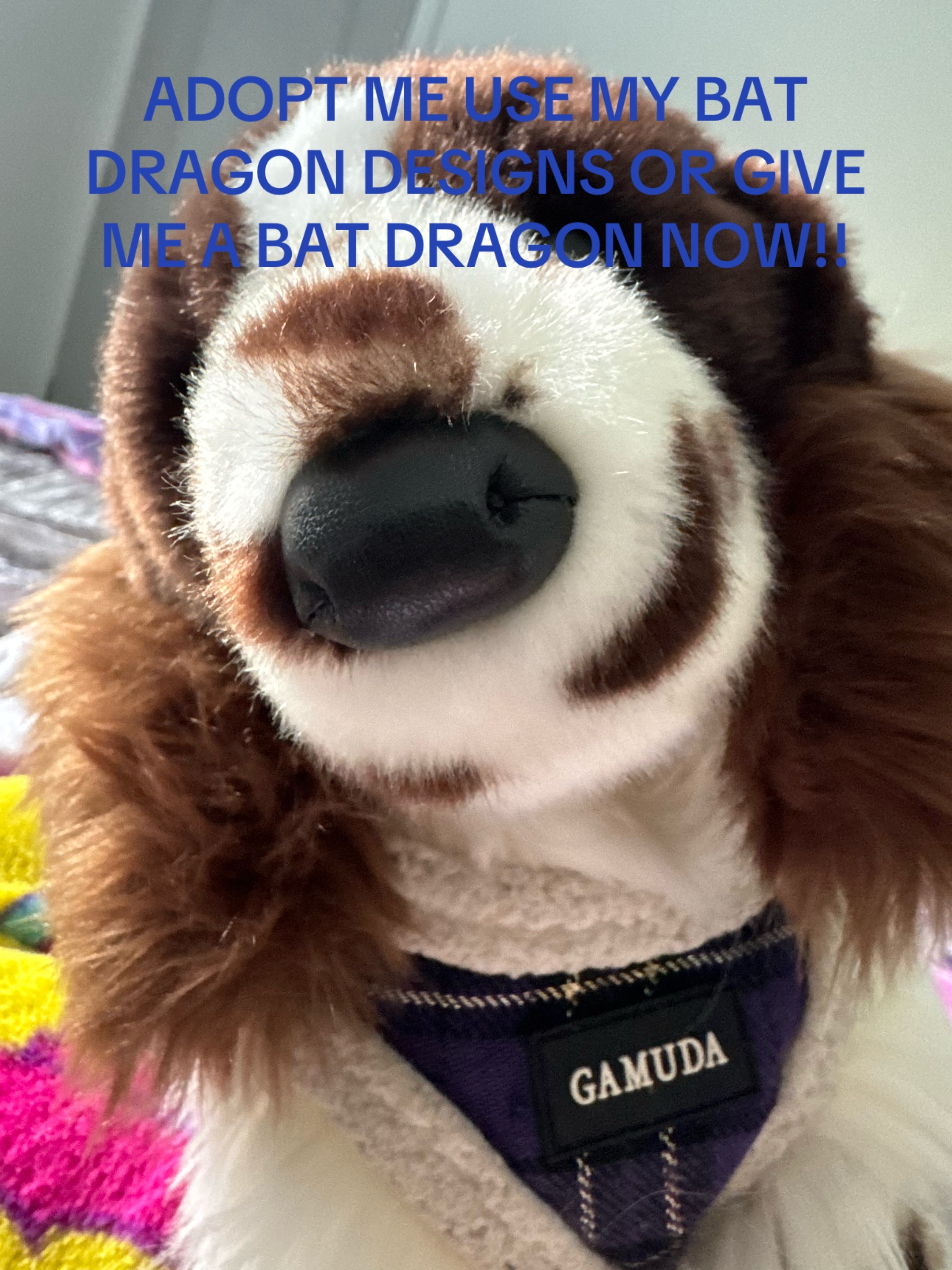 @R♡RY/phantom dragon no1 fan!!