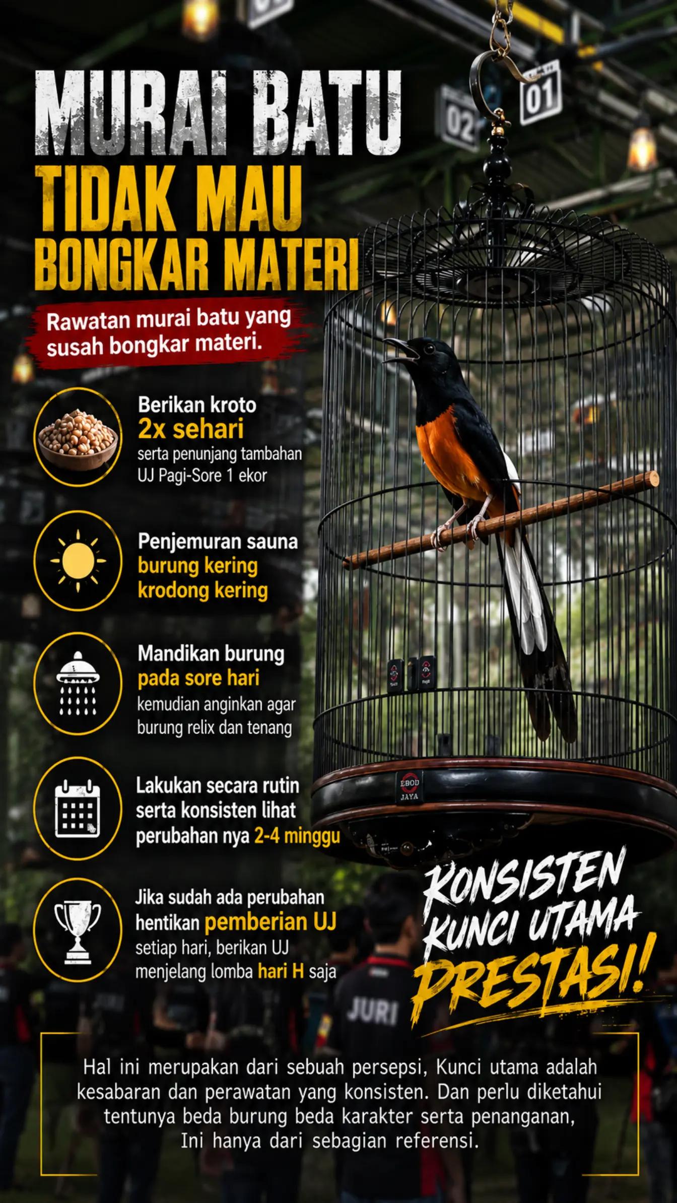 @fbkicaumania