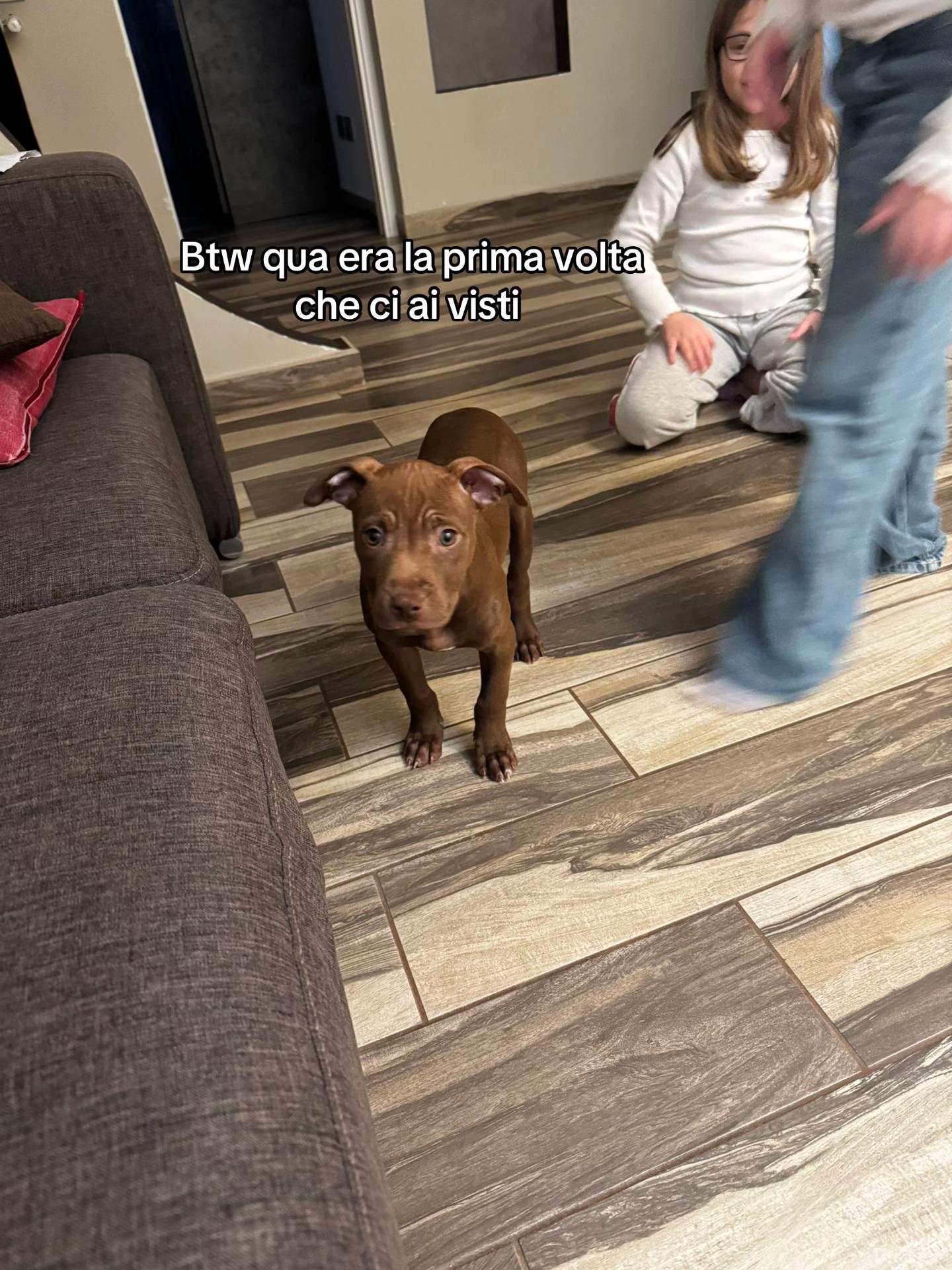 @EVA