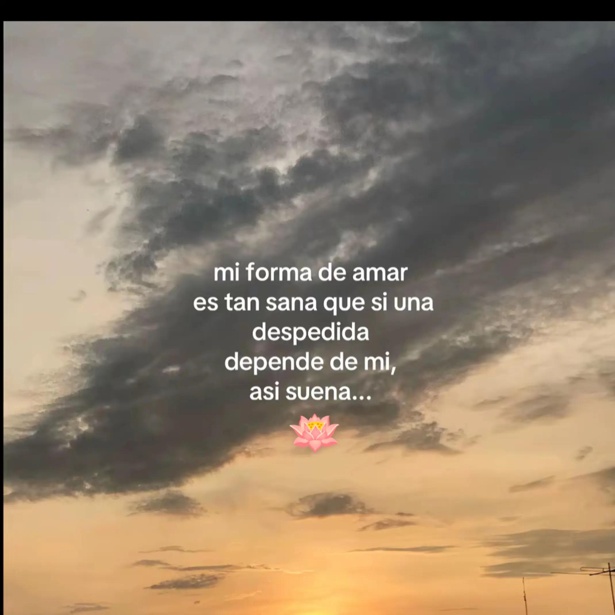 @🌻⚡♌