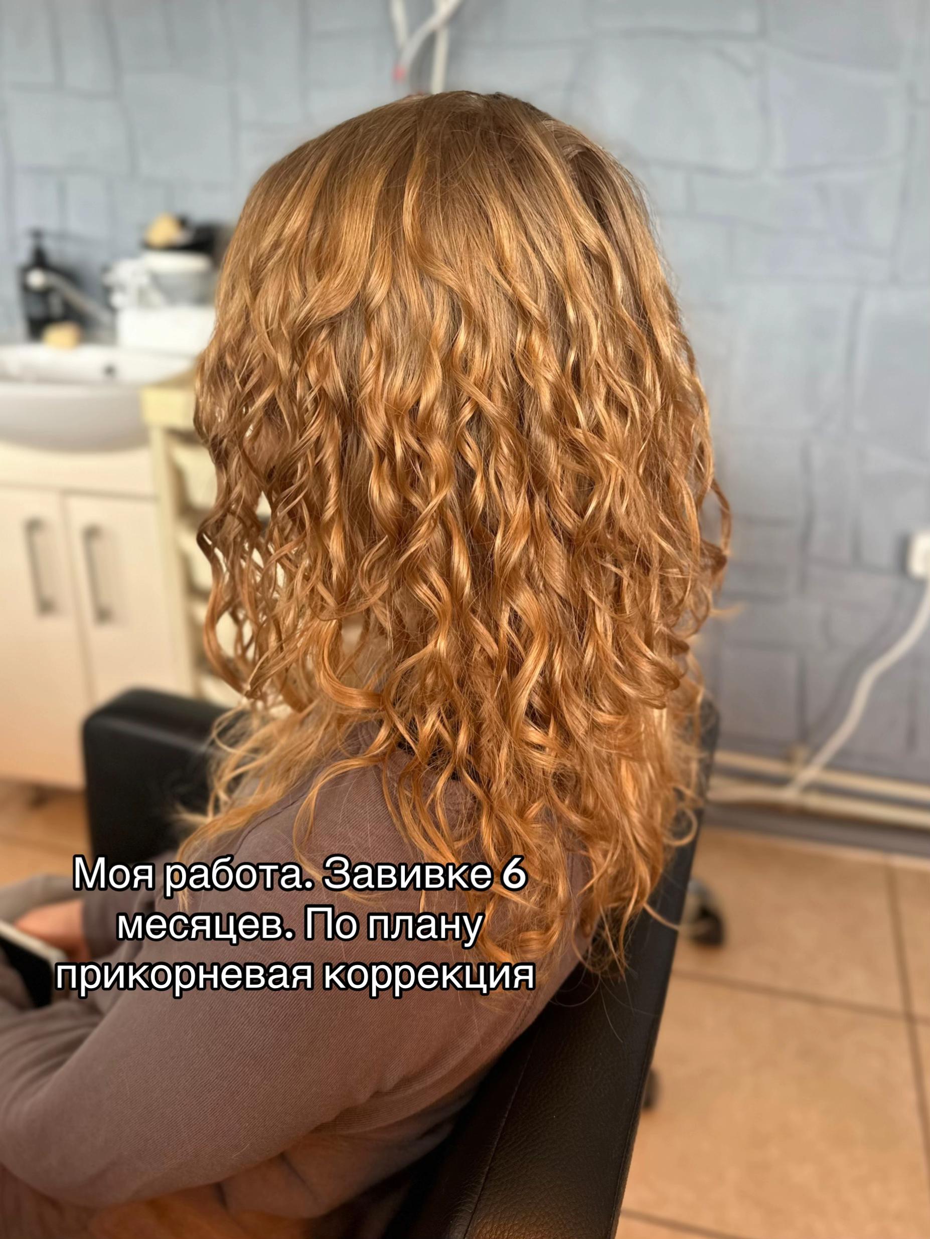 @kudri.dz