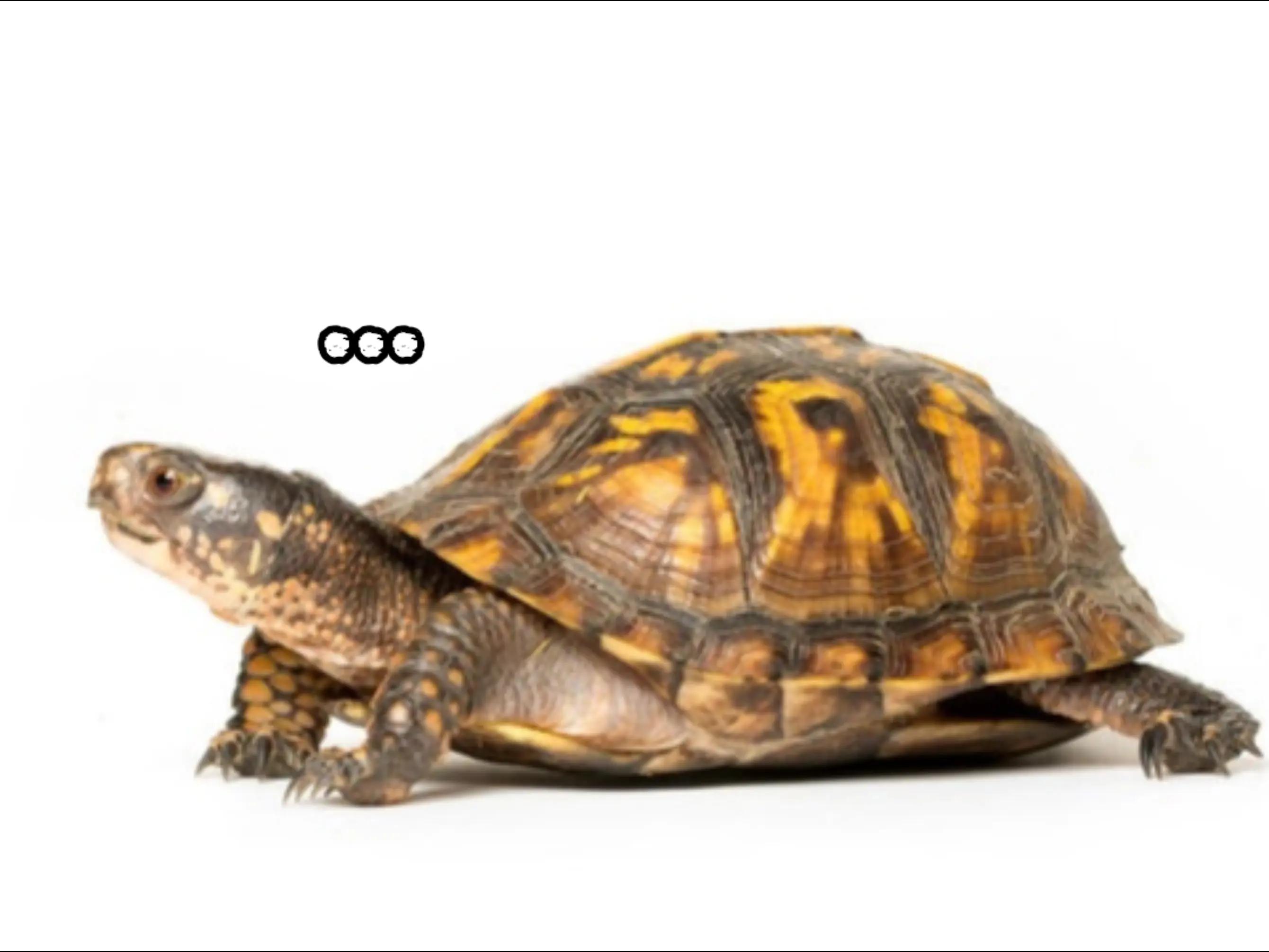@𝗗𝗮𝗿𝗸