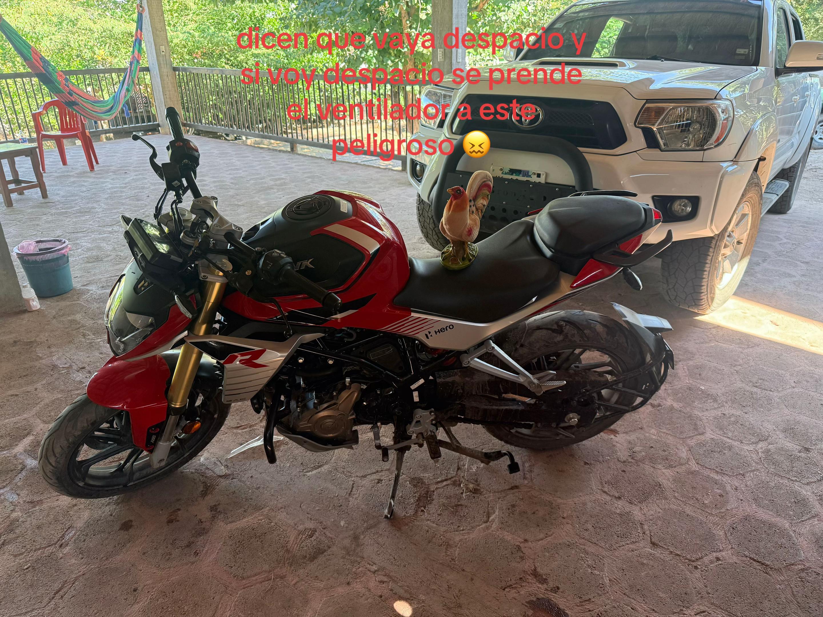 @gordo_hunk_250R