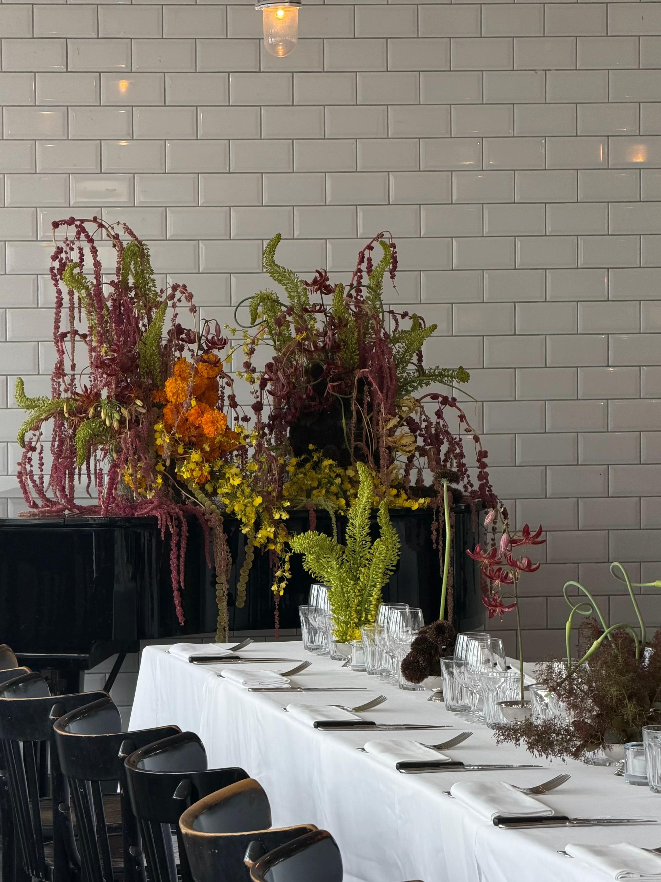 @Elle | BOTANICS