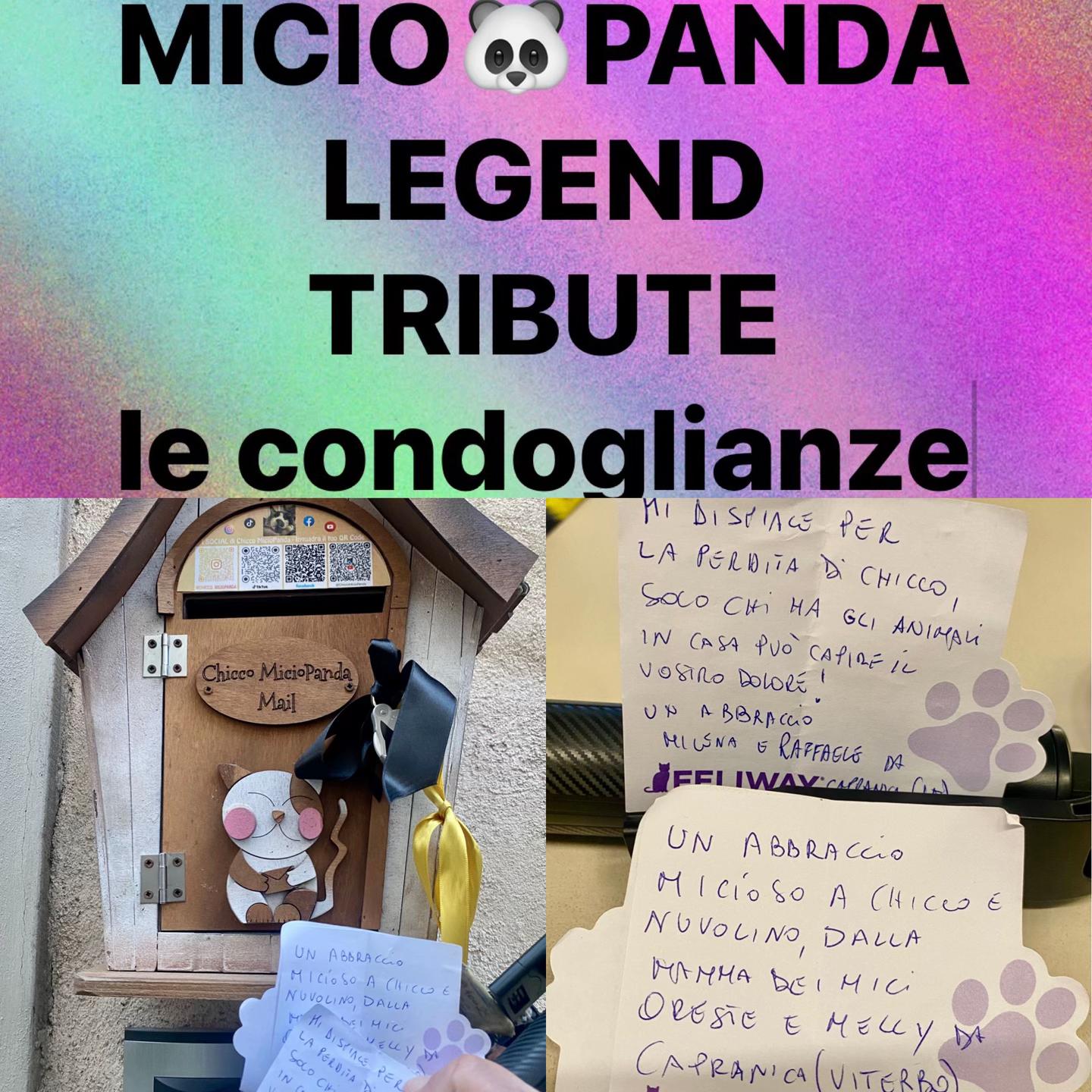 @Micio Panda 🐼