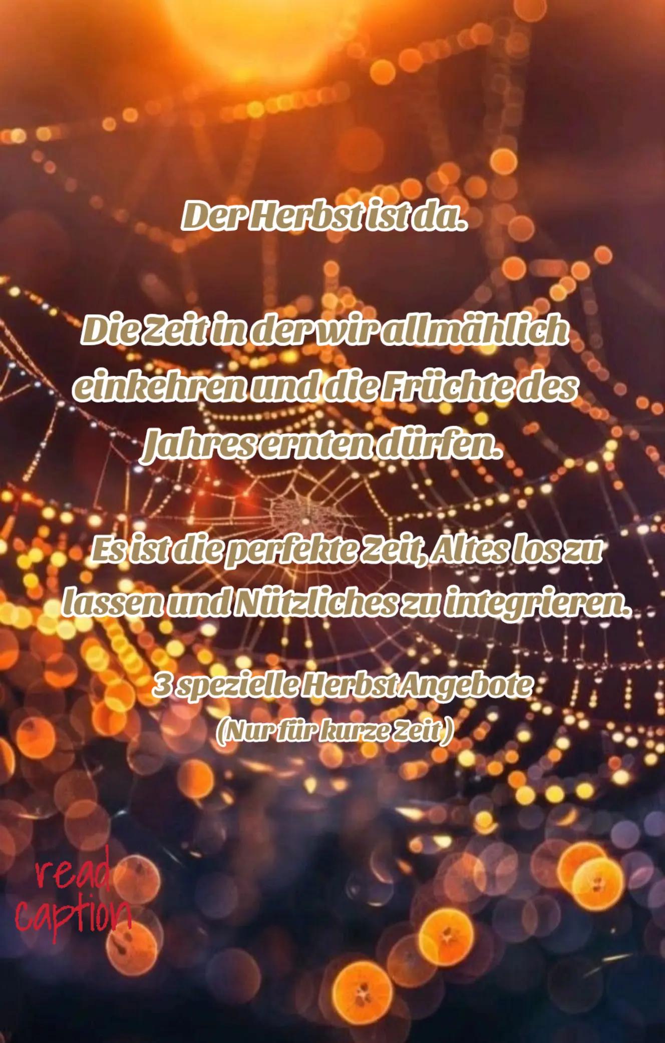 @𝔸𝕜𝕚𝕝𝕒