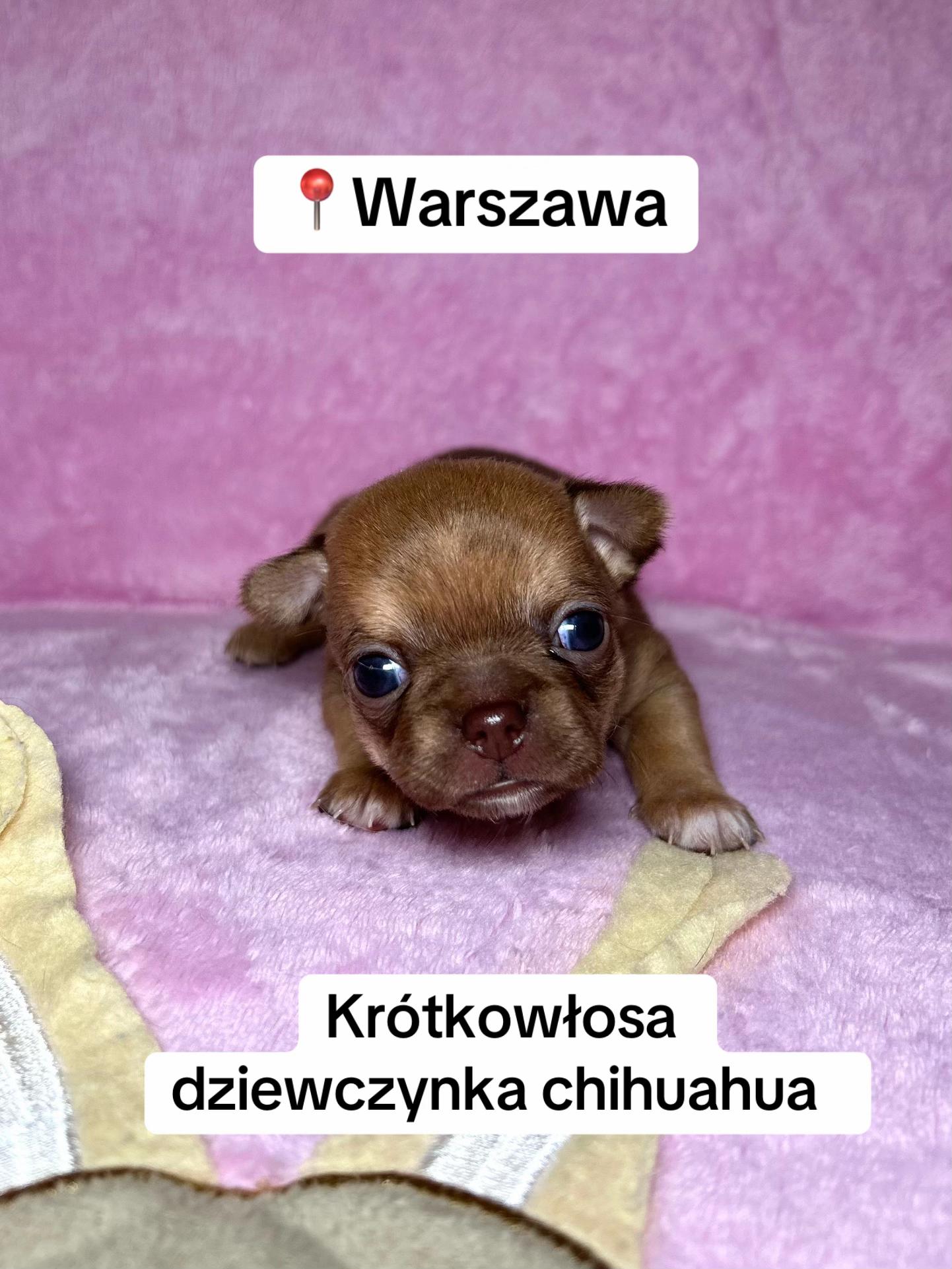 @Ulybki_lilu