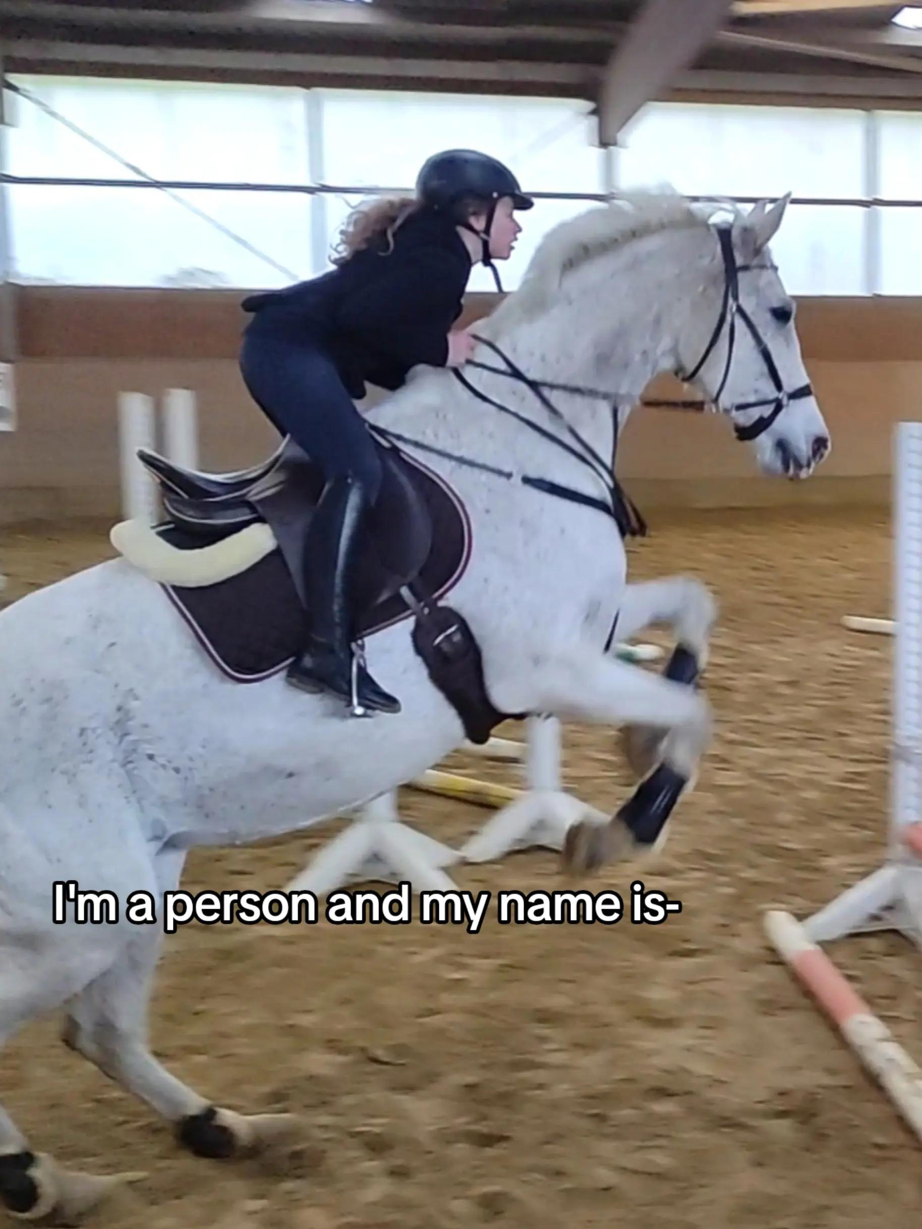 @Spring"Pony"Casha