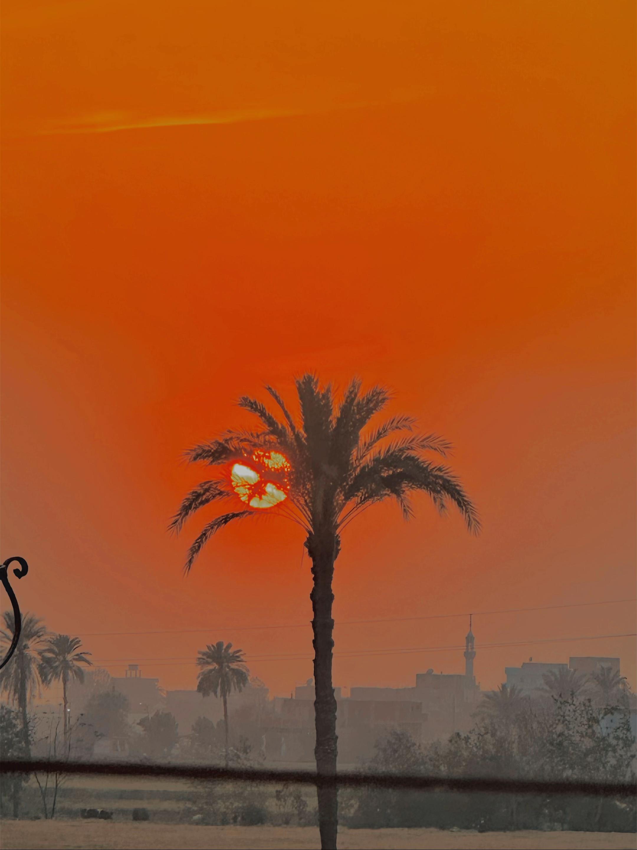 @🇸🇦&Ecirc;Mŷ🇪🇬