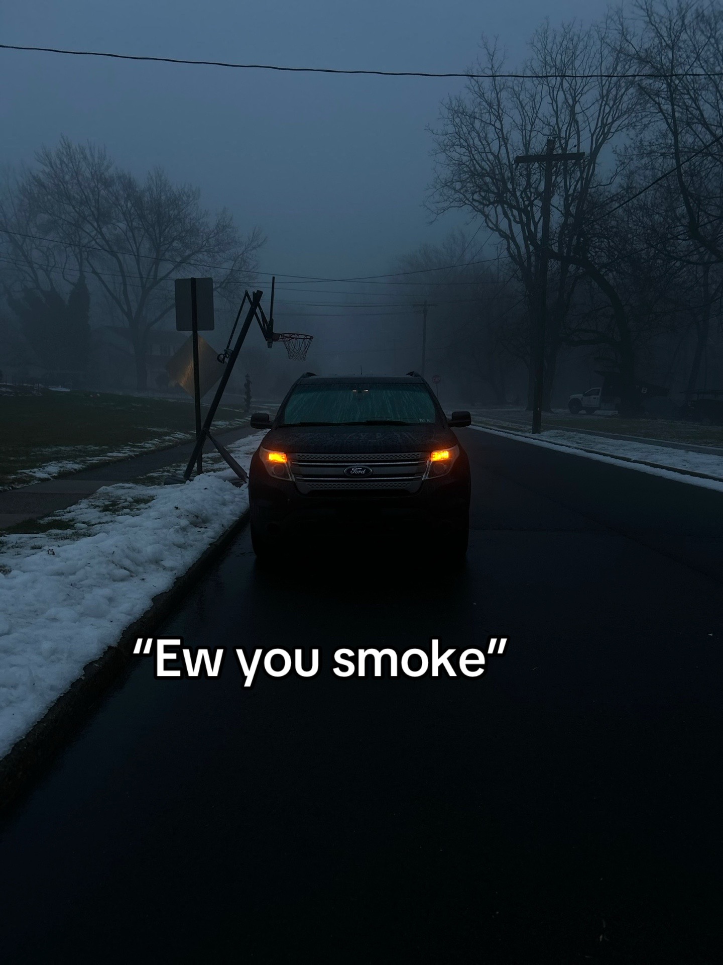 @..tribz