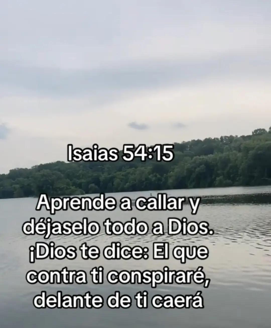 @CONSTRUCCIONES VICASTHER