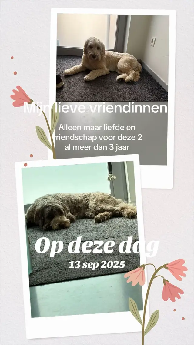 @Gewoon Debbie