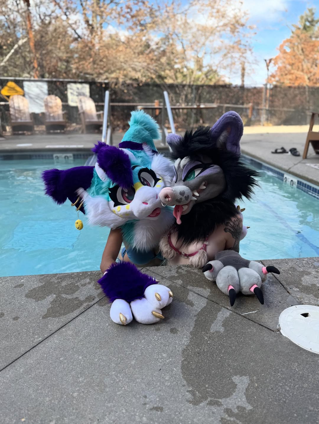 @HappyPaws Creations