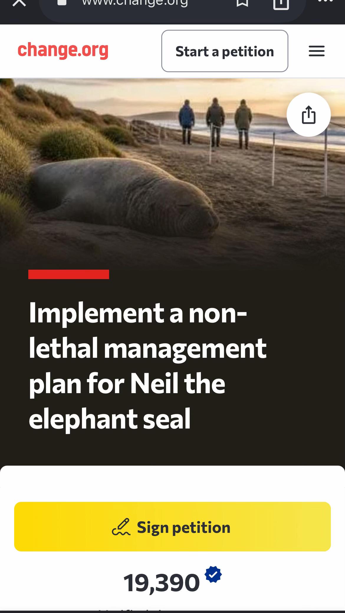 @Neil the Seal 🦭