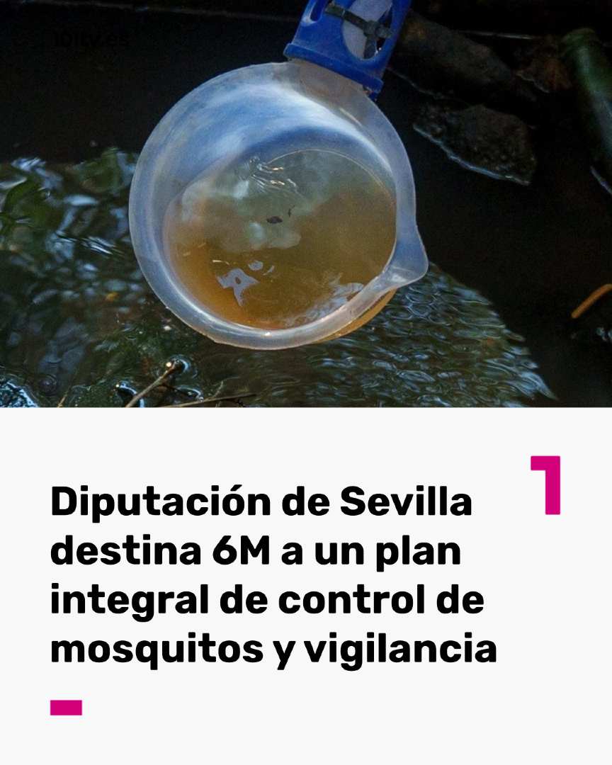 @101tv.es Sevilla