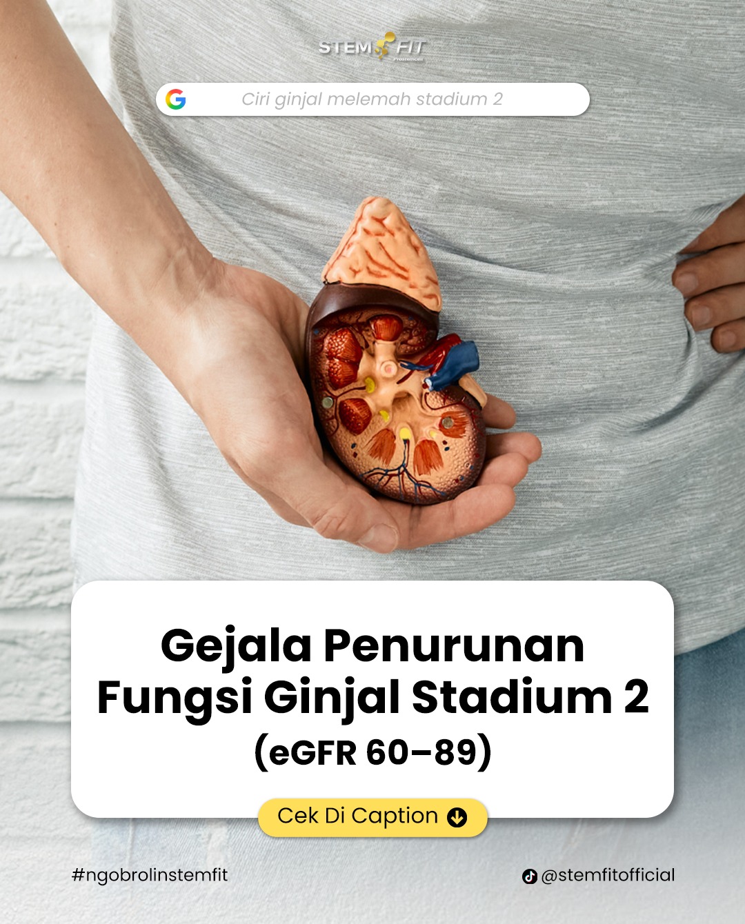 @Stemfit Official