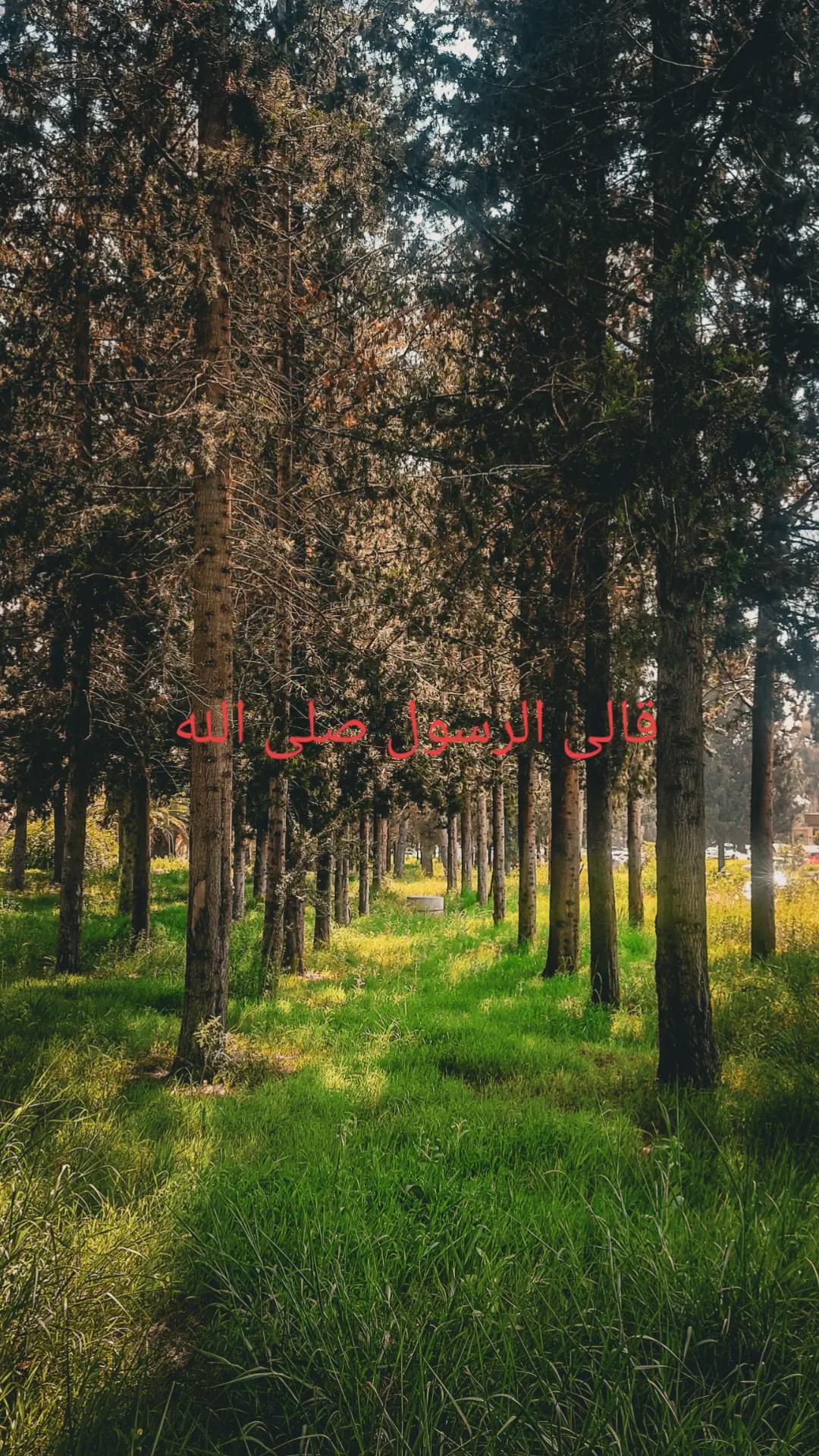 @القرآن الكريم
