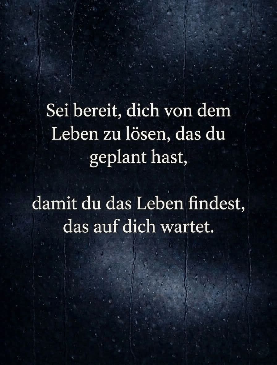 @🌸Jasmin Schubert🌸