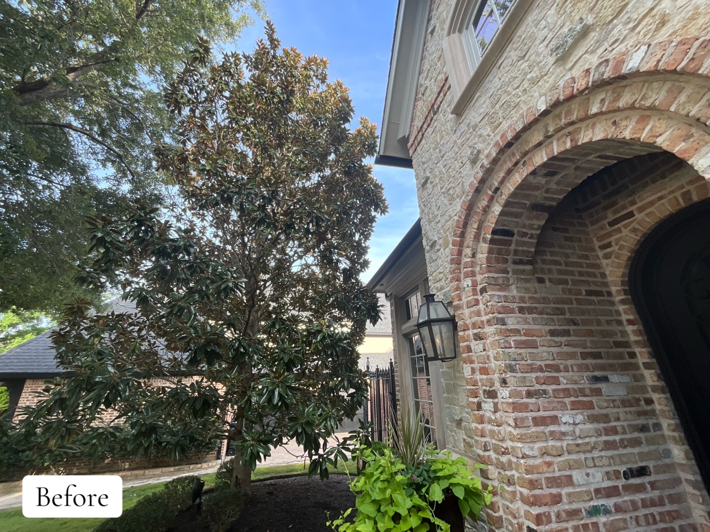 @Live Oak Tree Service