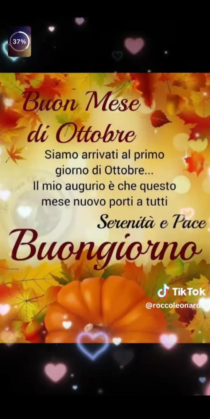 @maria grazia bersanetti