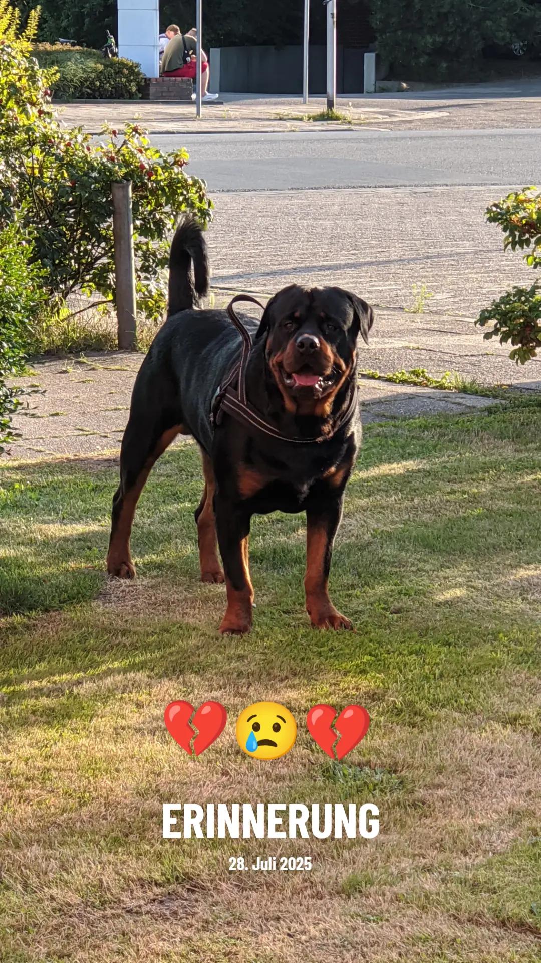 @Nicole❤️Schröder🖤Kowalski ❤️