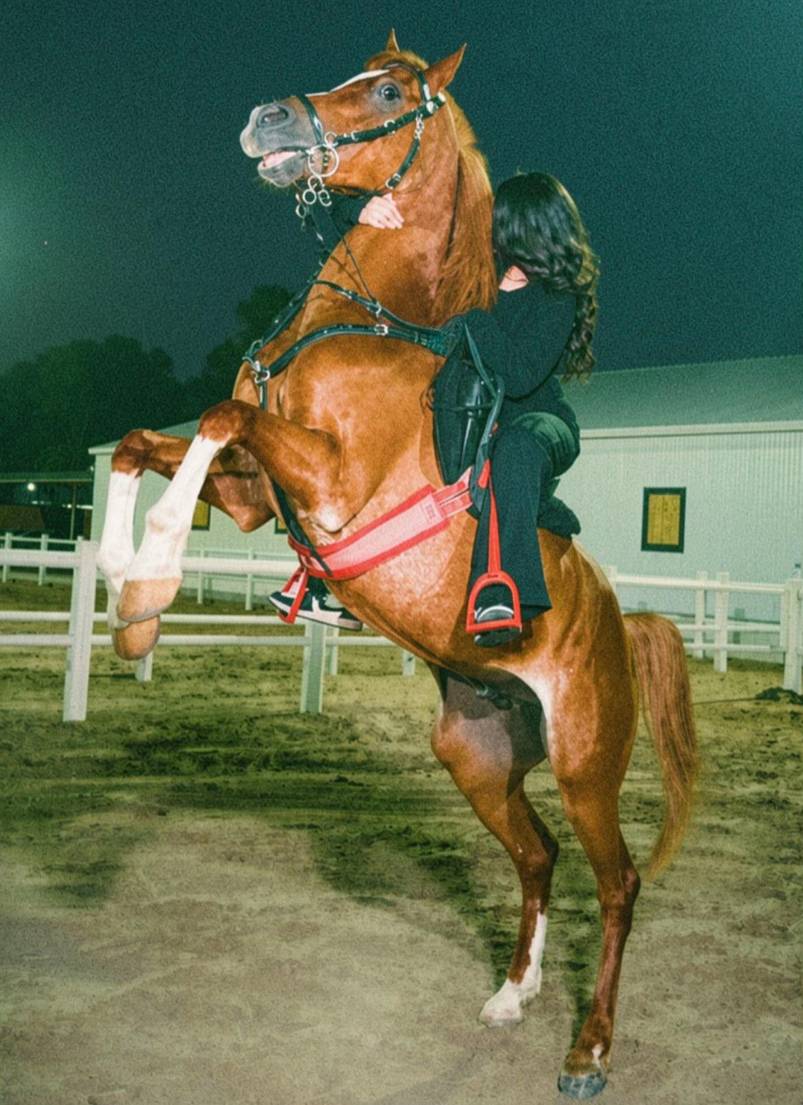 @R Bhatti 🐎