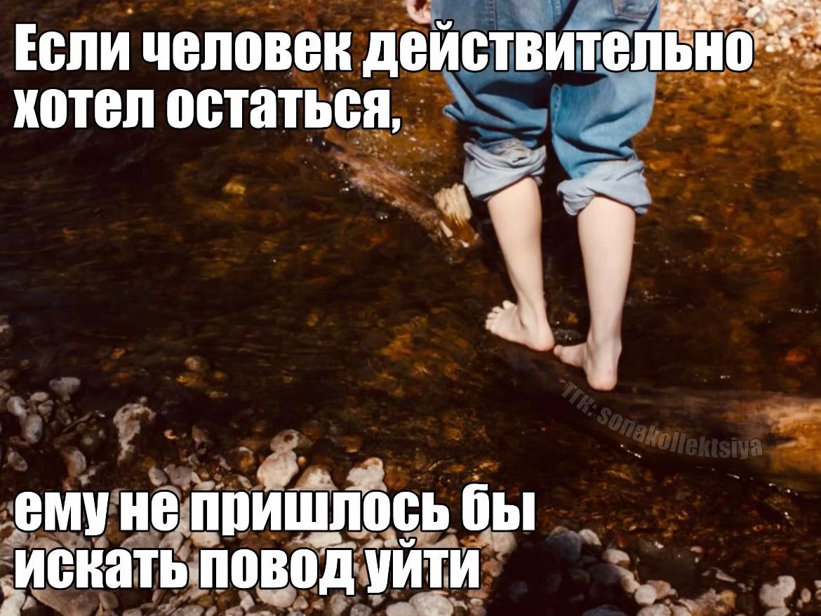 @коллекционер щп