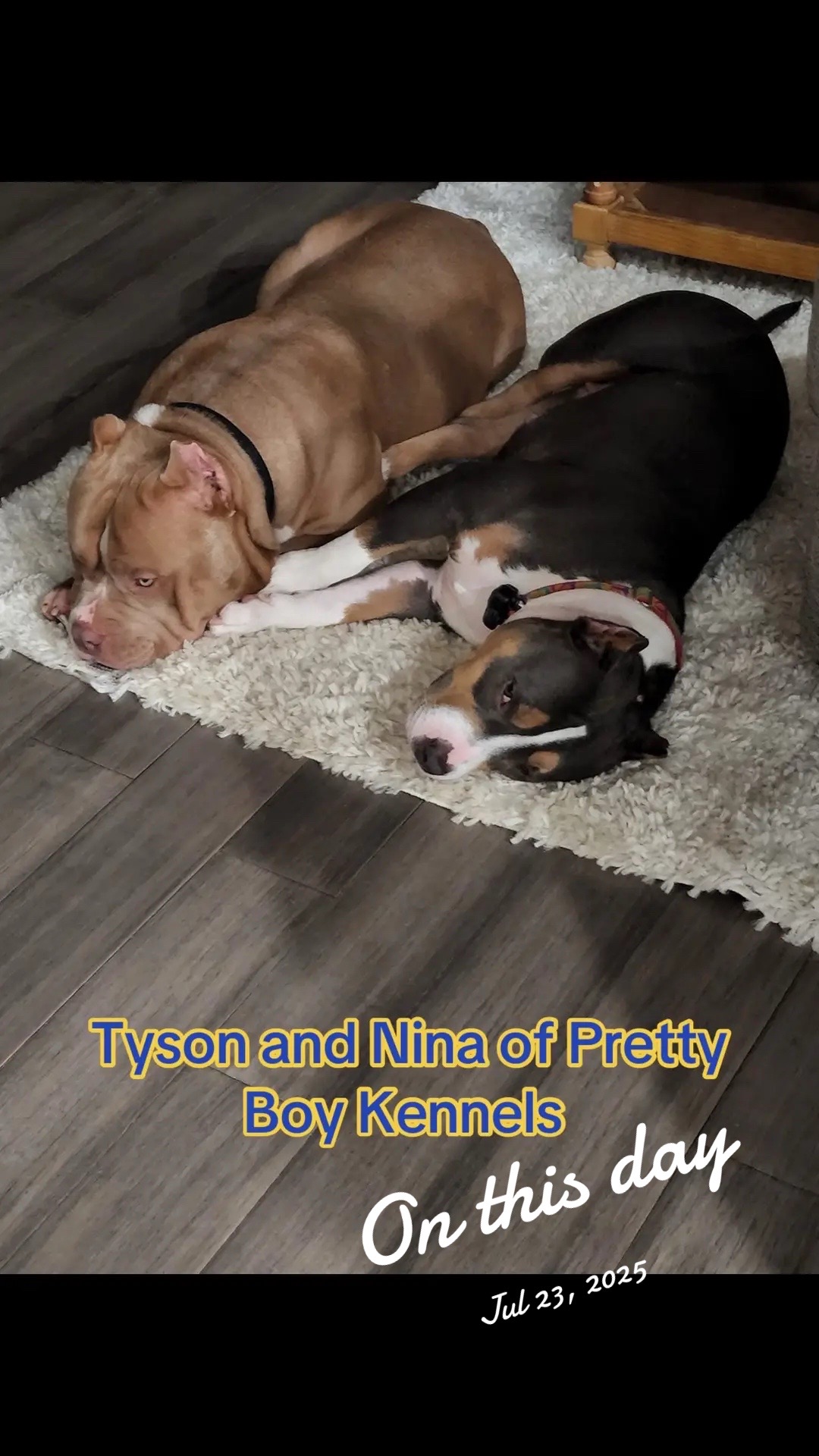 @prettyboykennels