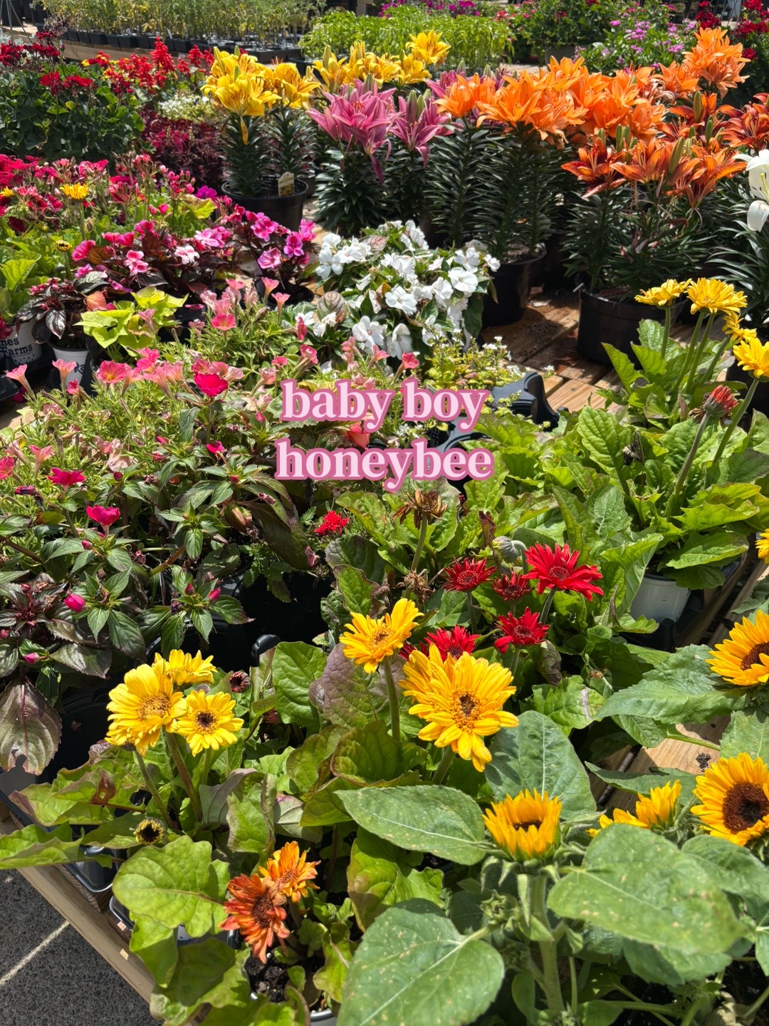 @holly ✨