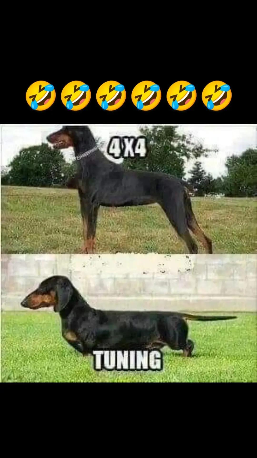 @Blondu 87 și atât