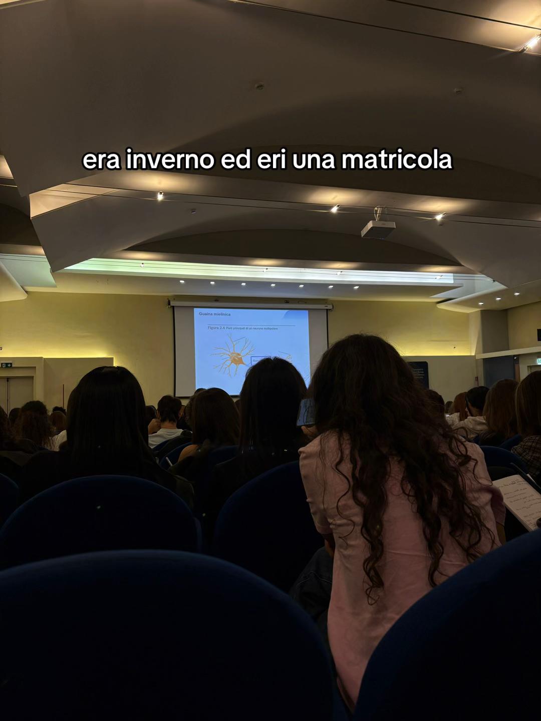 @sonolusi