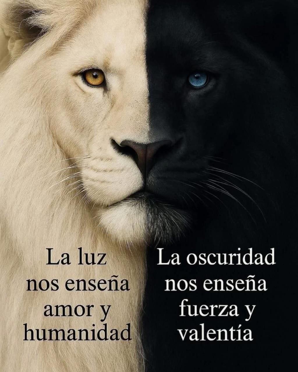 @Luzdedios8888