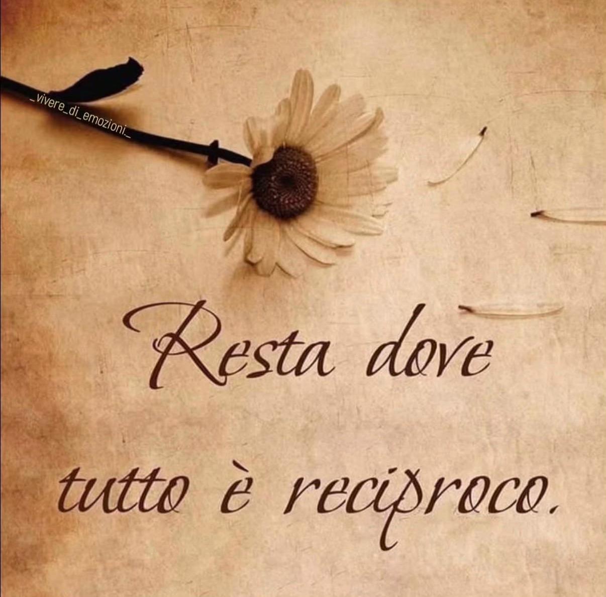 @Giuly