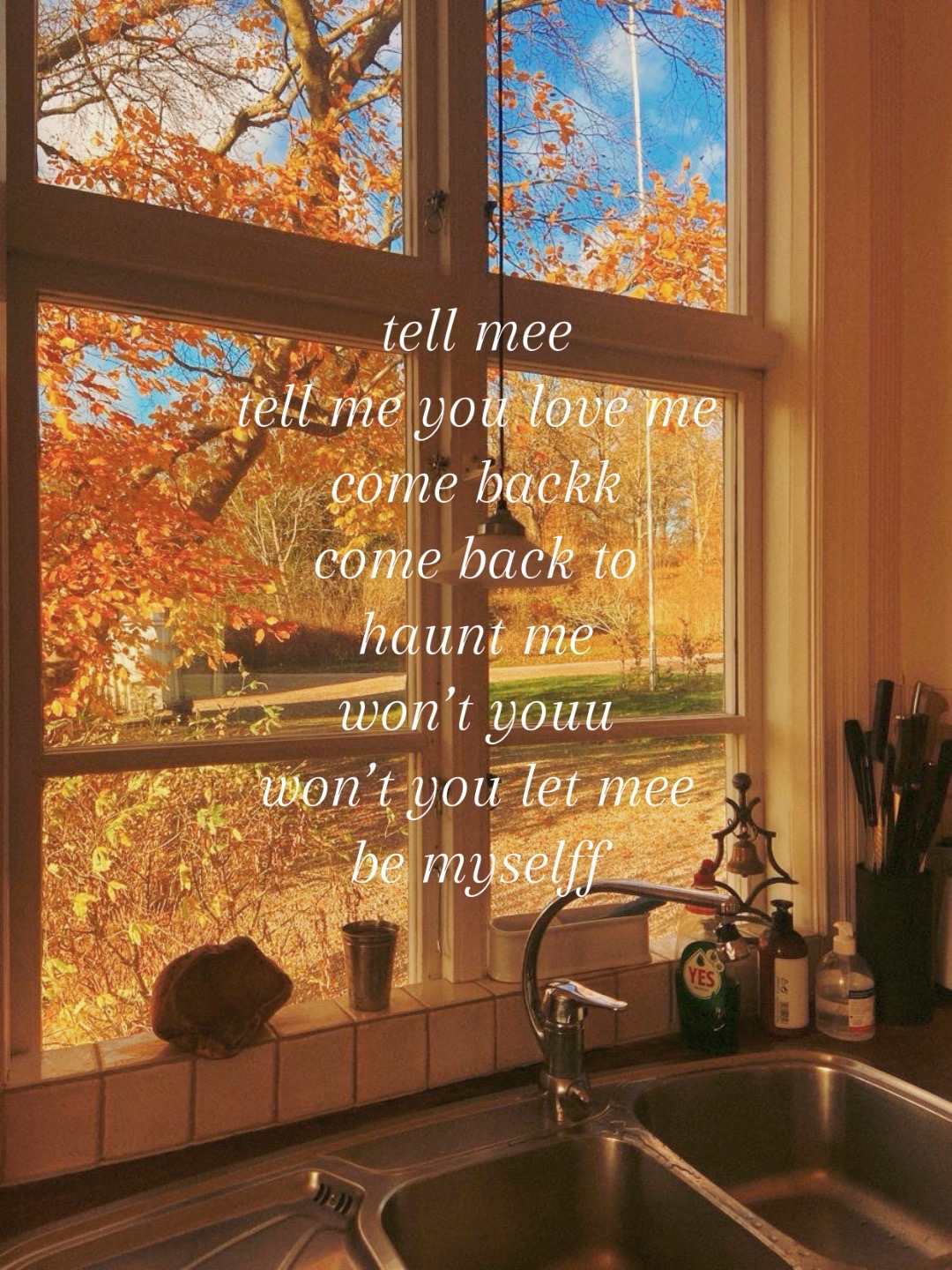 @𝑘𝑦𝑜𝑘𝑖𝑖╰ 🚏・ﾟ