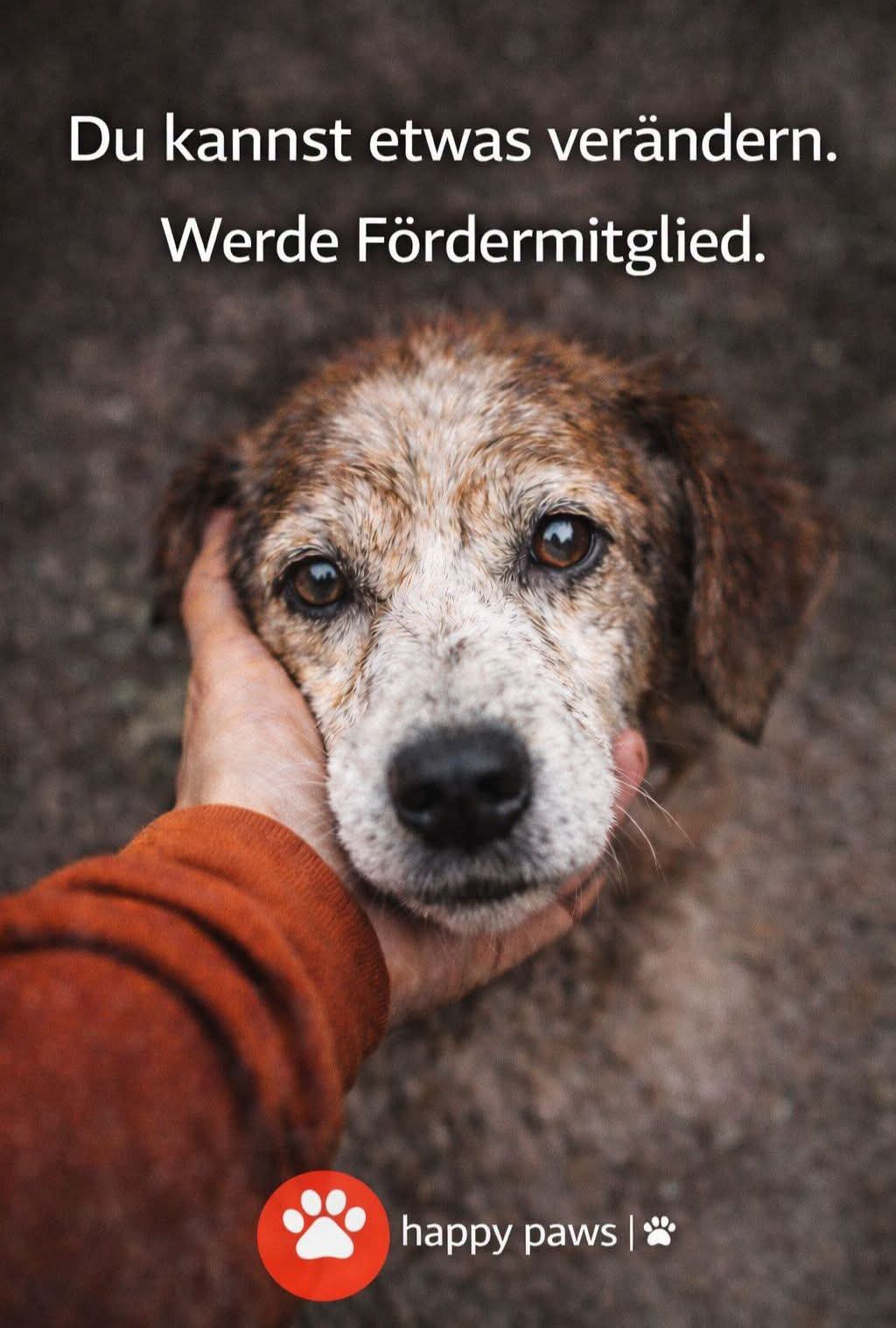 @Happy Paws Germany