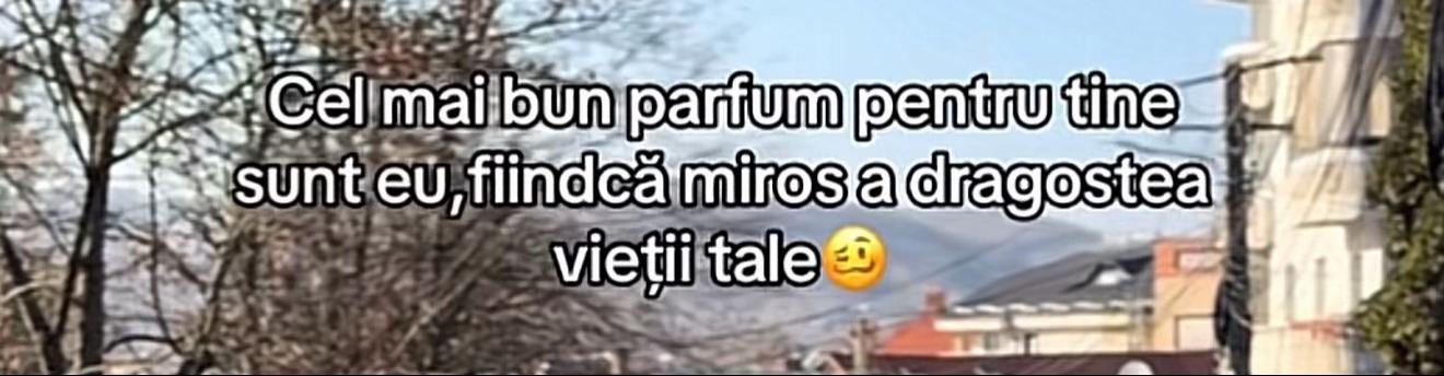 @Andrei🇹🇩🇩🇪