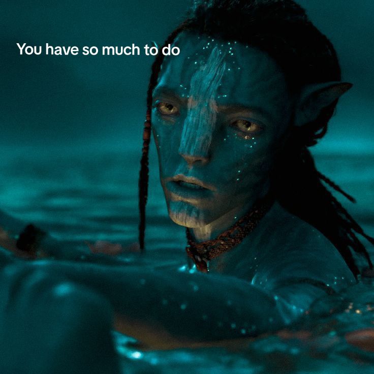 @Moss