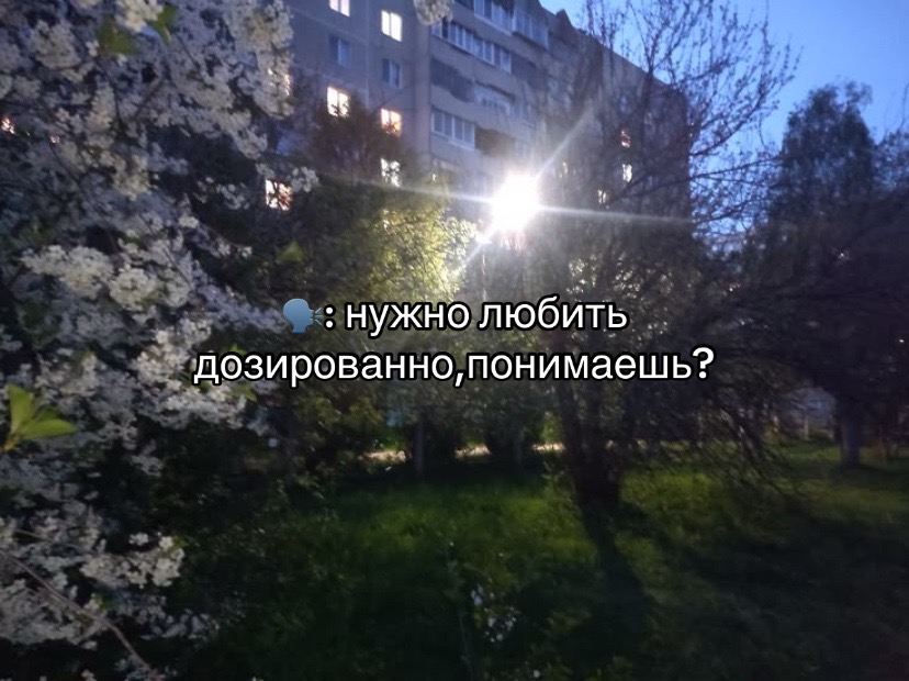 @соня дрель