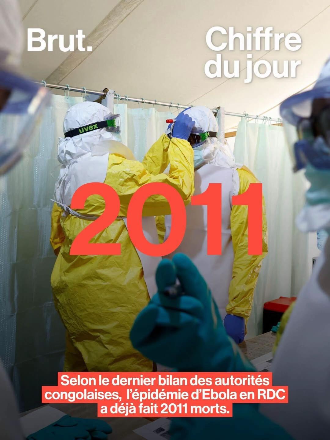 @Brut. Afrique