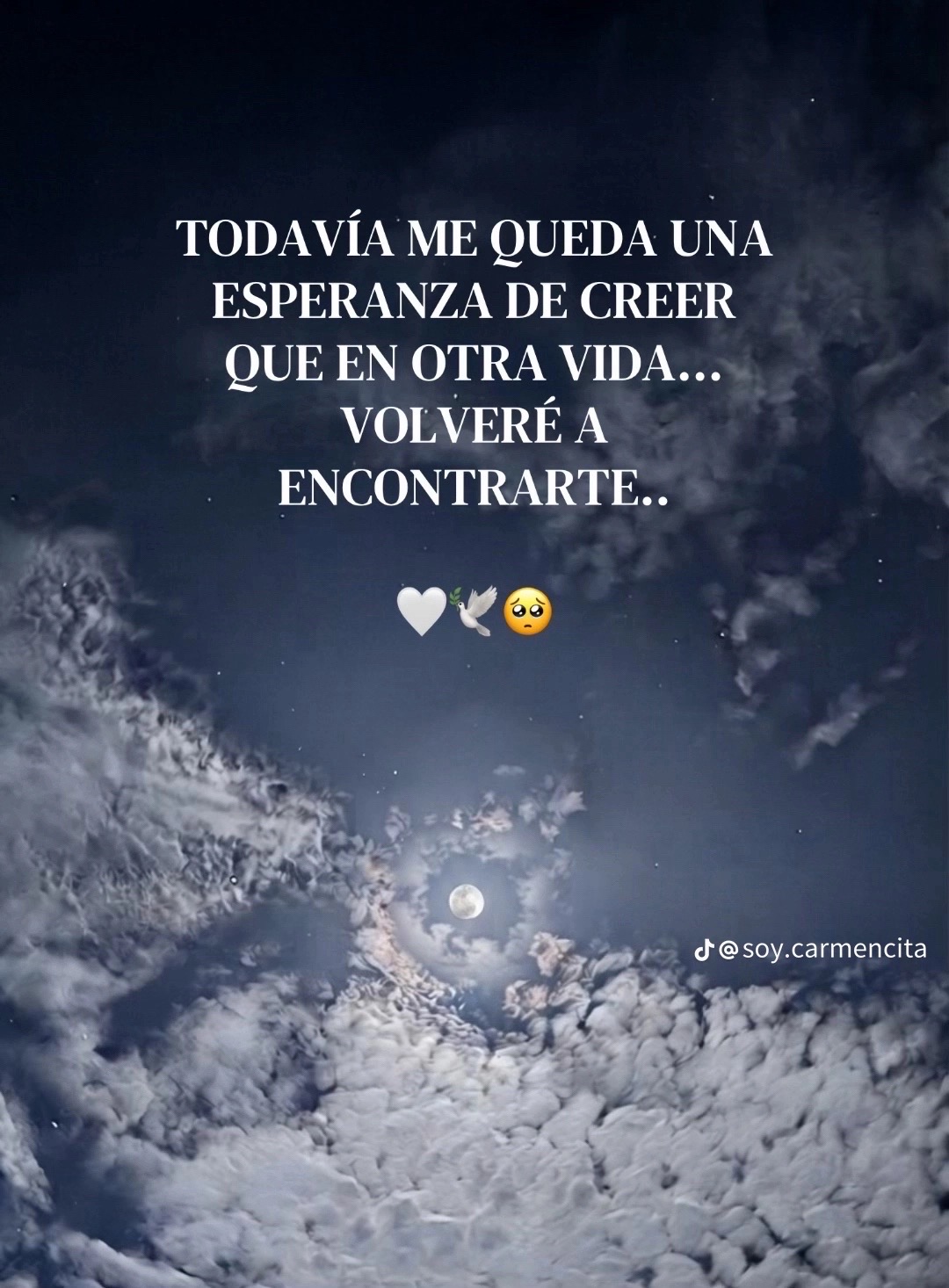@🖤Butter cup Y🎶
