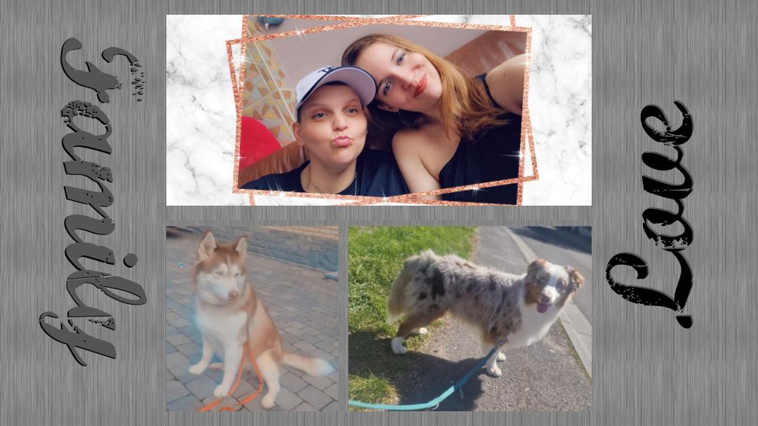 @Ilo🩵💜 - Nala et Falco❤️💙