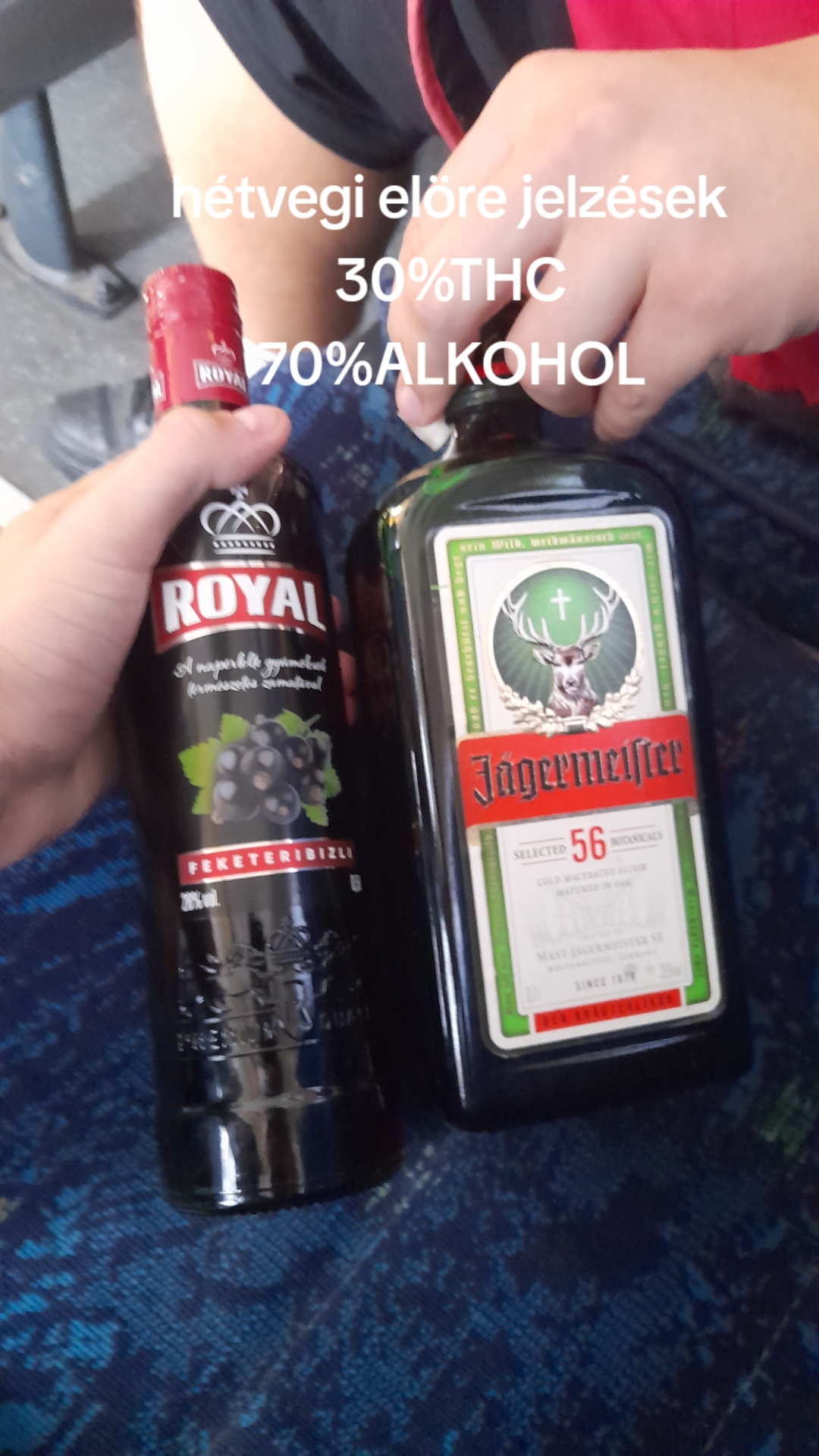 @🐼levente♧coco👑🀄🥷