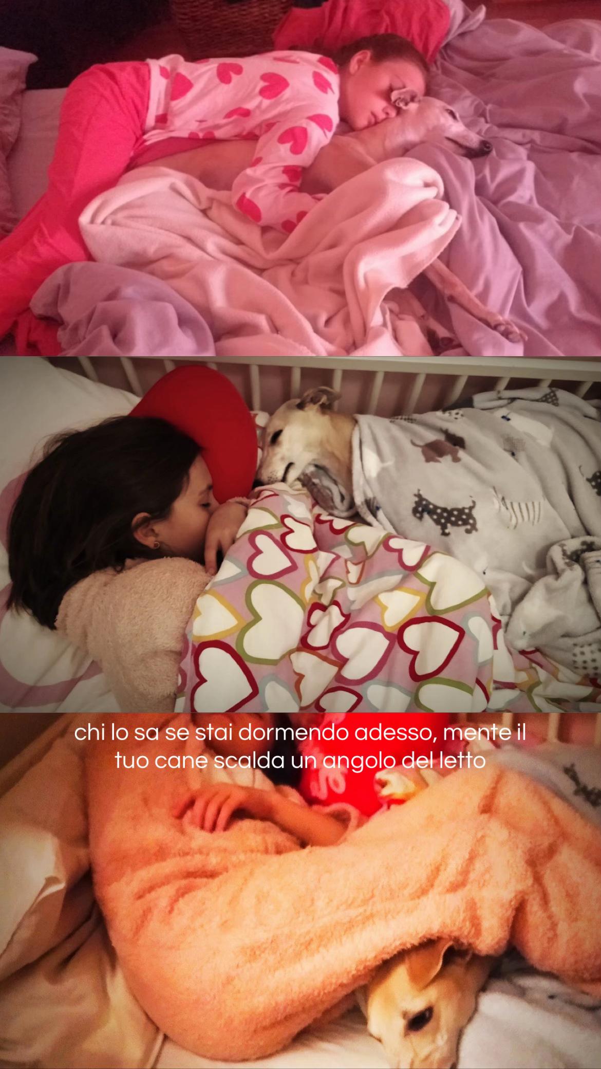 @violetta🪩