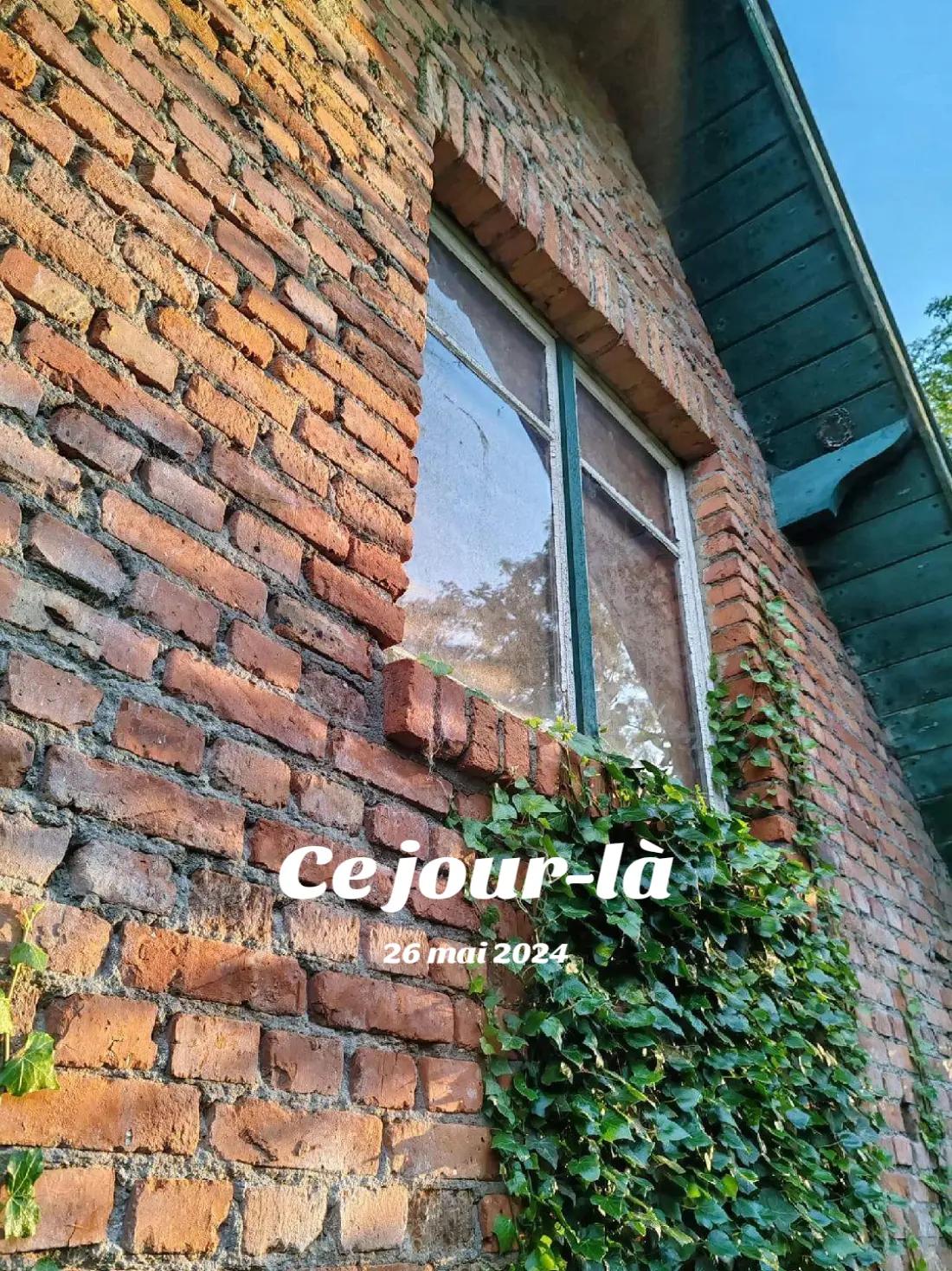 @mllefl0ow๐๐๐