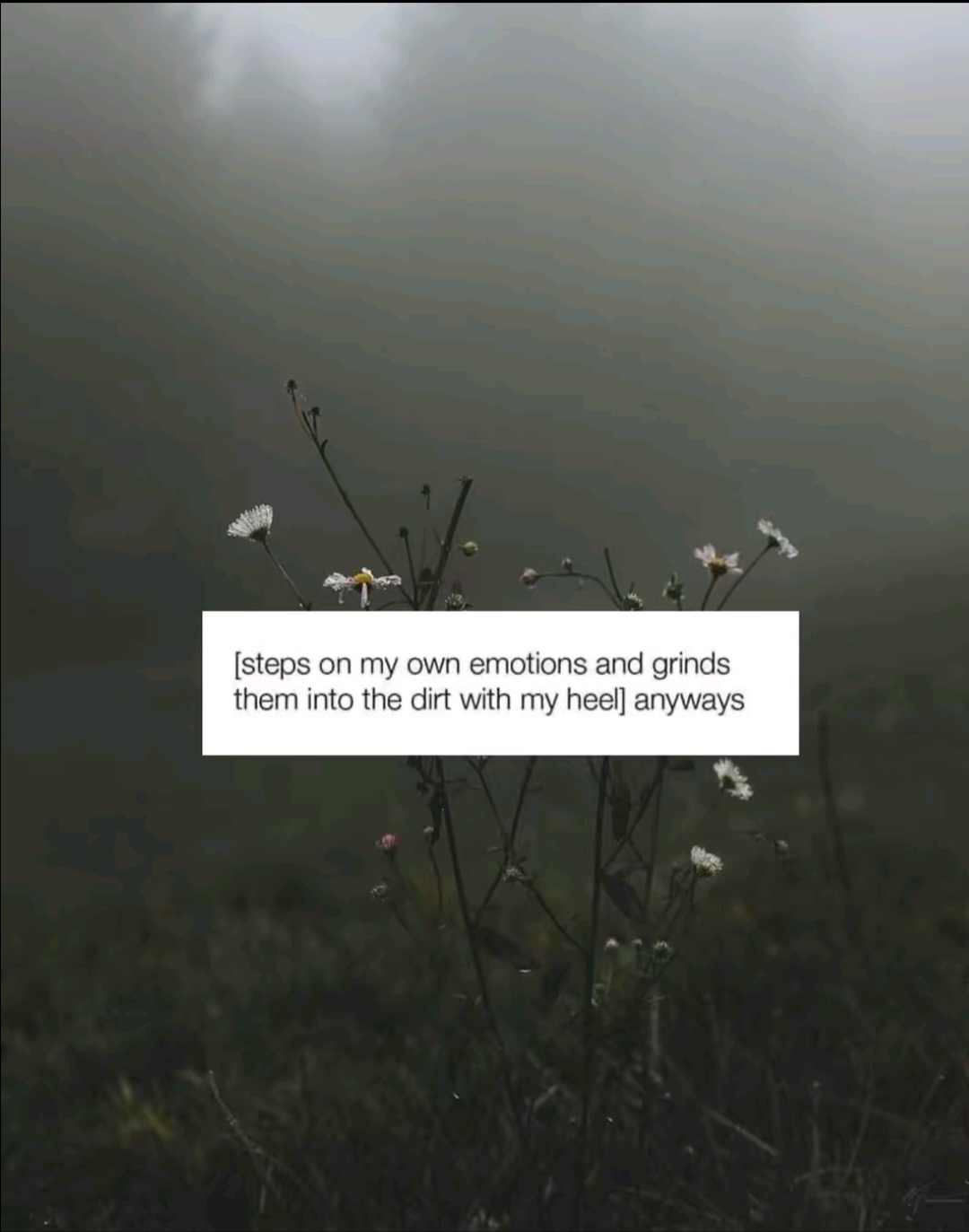 @ᛑᛗᛛ☽⛥ↁᵋᴻ°ᶡ∊$♧|/|¡⍲G⍲420⛥☾ᛑᛗᛛ
