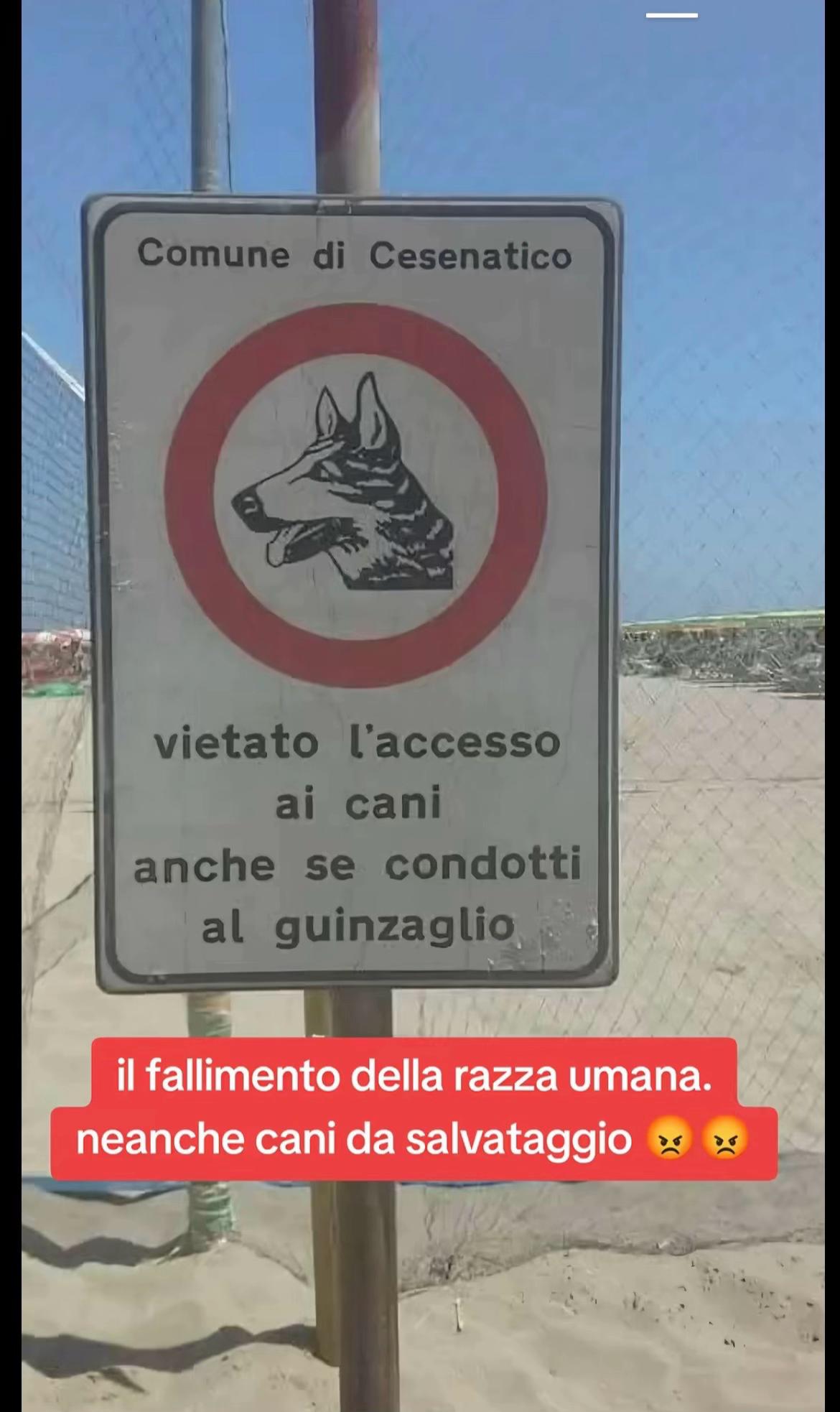 @desiderio.passione