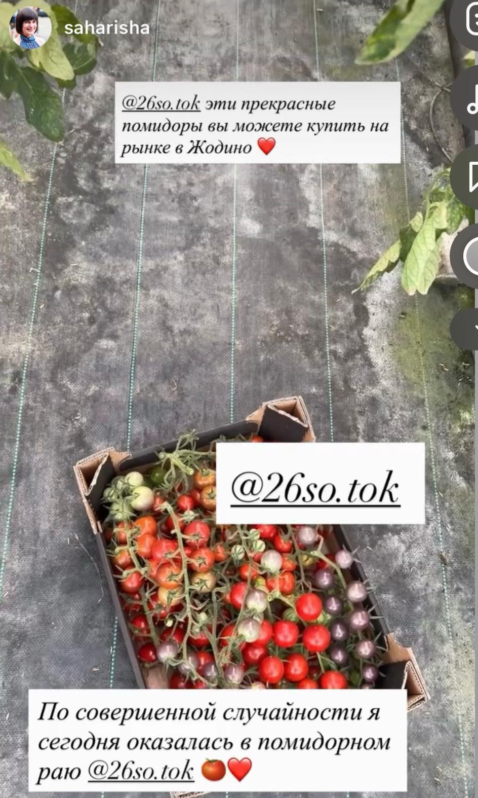 @26 соток