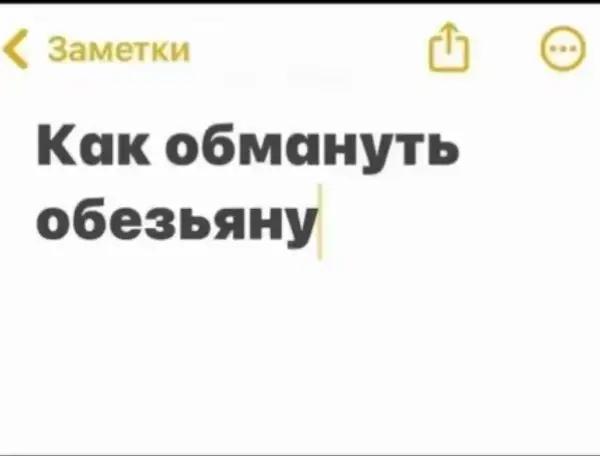 @ℳ𝒶𝓁ь𝓋𝒾𝓃𝓀𝒶 💙